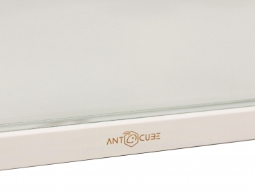 ANTCUBE - antfarm - M - 30x30 - Wall